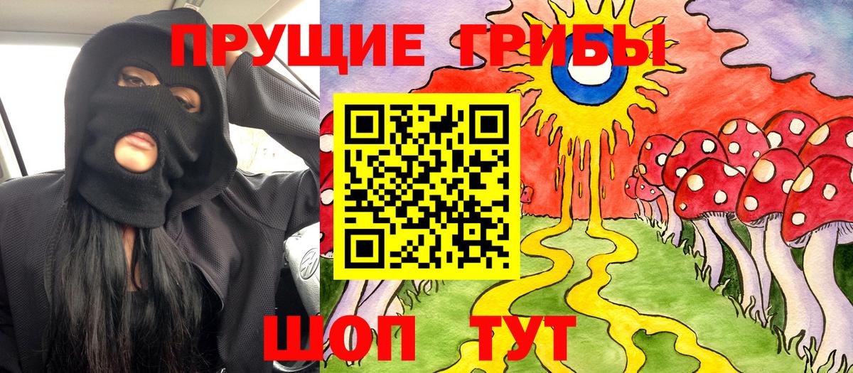 Балтийск  Псилоцибиновые грибы мухоморы  где продают   Псилоцибиновые грибы Magic Shrooms  Вход с VPN 